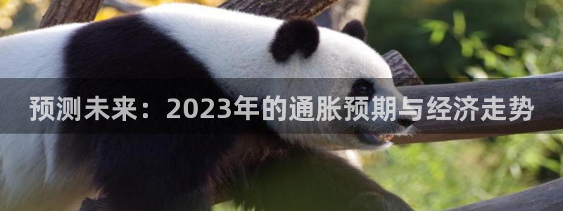 星耀国际手机客户端下载安装：预测未来：2023年的通胀预期与经济走势