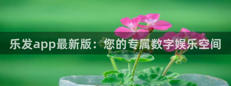 星耀国际可靠吗：乐发app最新版：您的专属数字娱乐空间