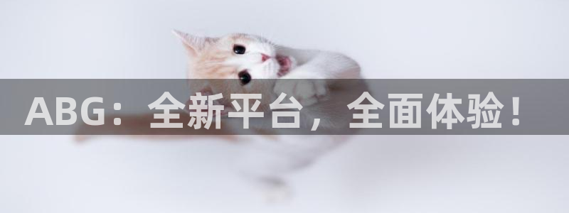 星耀国际app官网下载：ABG：全新平台，全面体验！