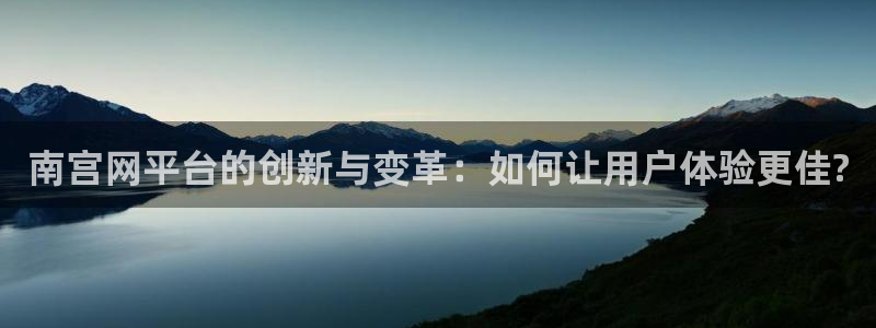 星耀国际是啥：南宫网平台的创新与变革：如何让用户体验更佳?
