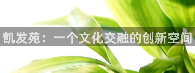 星耀国际app：凯发苑：一个文化交融的创新空间