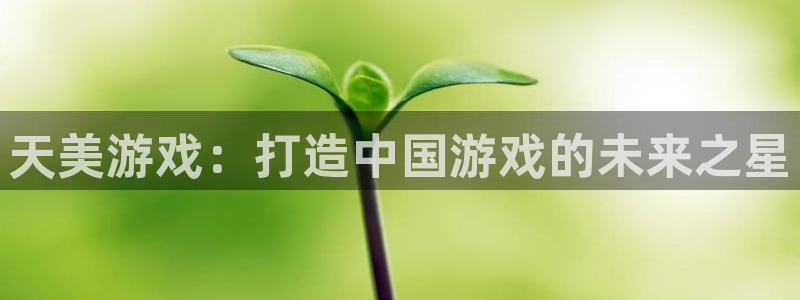 星耀国际.ccm官网版：天美游戏：打造中国游戏的未来之星