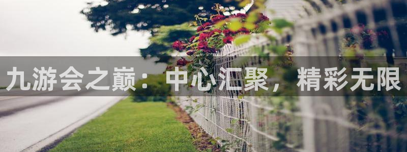 星耀国际电子游戏：九游会之巅：中心汇聚，精彩无限