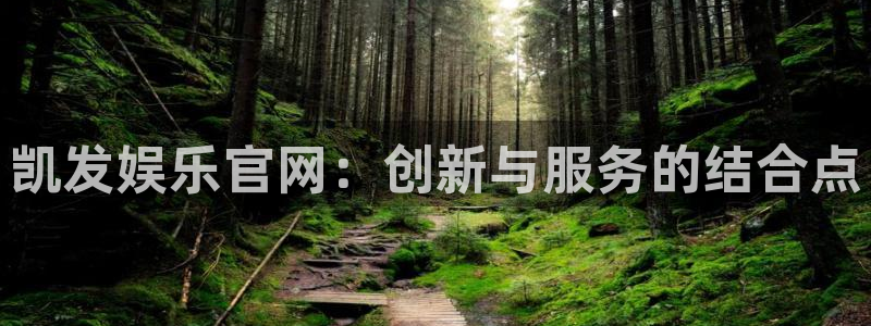 星耀国际,apk.1：凯发娱乐官网：创新与服务的结合点