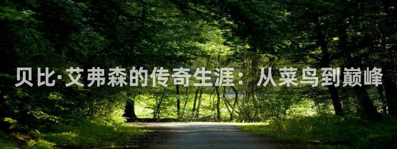 星耀国际电子游戏网页版：贝比·艾弗森的传奇生涯：从菜鸟到巅峰