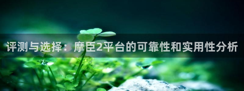 星耀国际下载二维码：评测与选择：摩臣2平台的可靠性和实用性分析