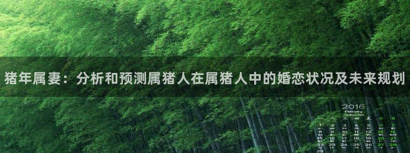 星耀国际网站：猪年属妻：分析和预测属猪人在属猪人中的婚恋状况及未来规划