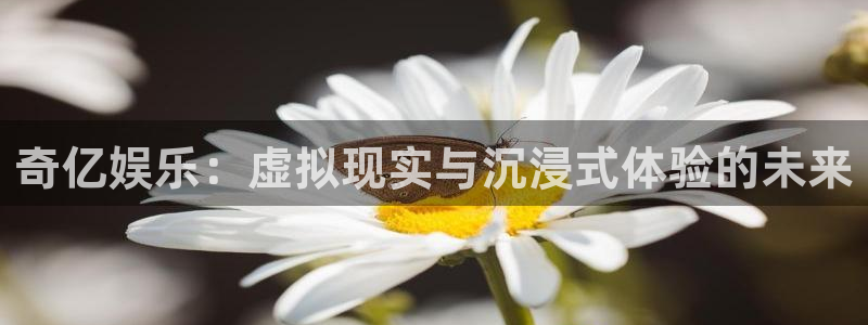 星耀国际pg：奇亿娱乐：虚拟现实与沉浸式体验的未来