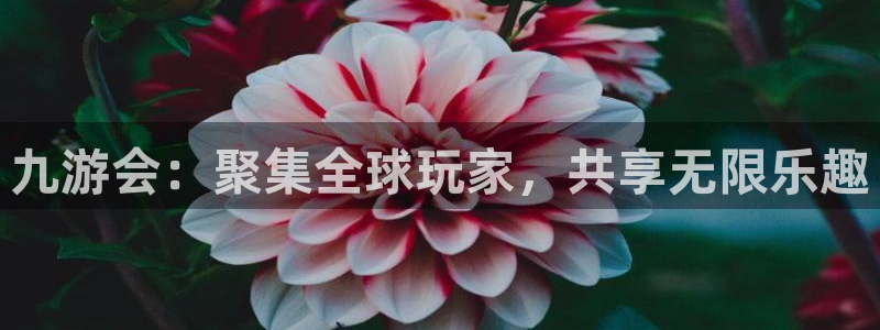 壹号大舞台入口：九游会：聚集全球玩家，共享无限乐趣