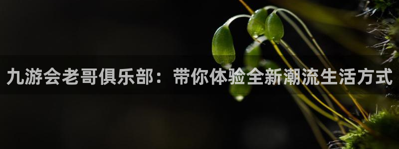 星耀国际平台官网入口：九游会老哥俱乐部：带你体验全新潮流生活方式