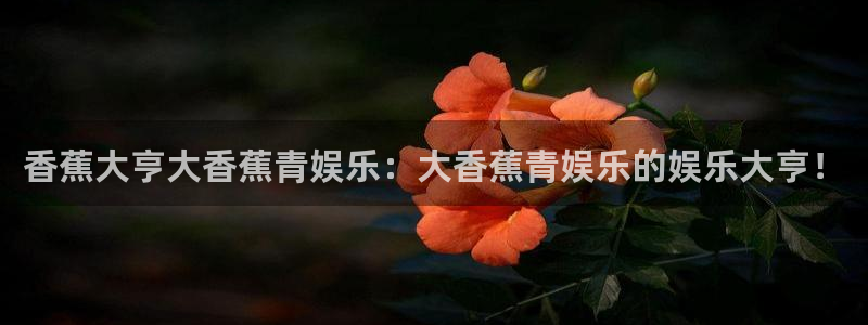 星耀国际平台链接：香蕉大亨大香蕉青娱乐：大香蕉青娱乐的娱乐大亨！