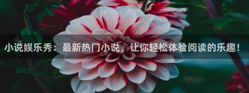 星耀国际平台管网入口：小说娱乐秀：最新热门小说，让你轻松体验阅读的乐趣！