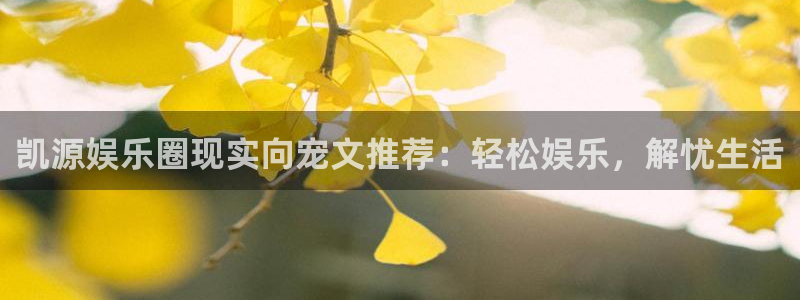星耀国际app官网：凯源娱乐圈现实向宠文推荐：轻松娱乐，解忧生活