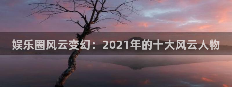 星耀国际官网地址：娱乐圈风云变幻：2021年的十大风云人物