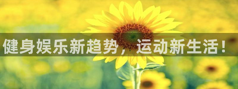 壹号大舞台入口：健身娱乐新趋势，运动新生活！