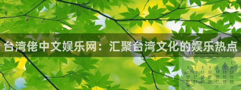 星耀国际注册网站链接