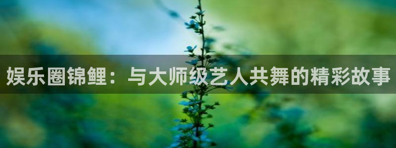 星耀国际平台下载入口：娱乐圈锦鲤：与大师级艺人共舞的精彩故事