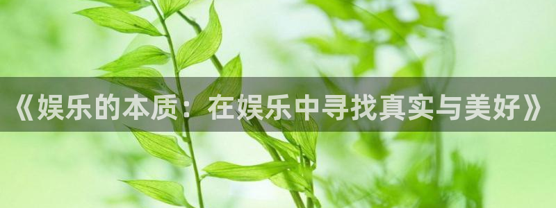 星耀国际网页版登：《娱乐的本质：在娱乐中寻找真实与美好》