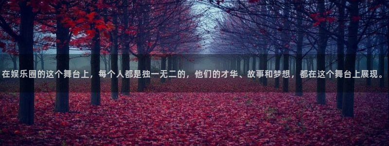 星耀国际是真的吗：在娱乐圈的这个舞台上，每个人都是独一无二的，他们的才华、故事和梦想，都在这个舞台上展现。
