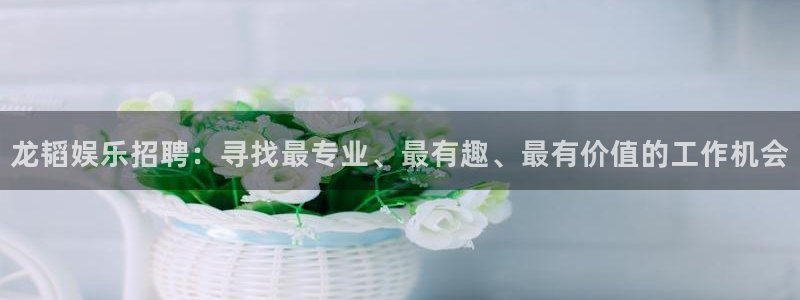 星耀国际pg：龙韬娱乐招聘：寻找最专业、最有趣、最有价值的工作机会