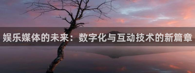 星耀国际下载链接是多少：娱乐媒体的未来：数字化与互动技术的新篇章