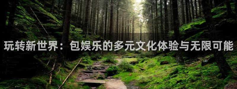 壹号平台下载：玩转新世界：包娱乐的多元文化体验与无限可能