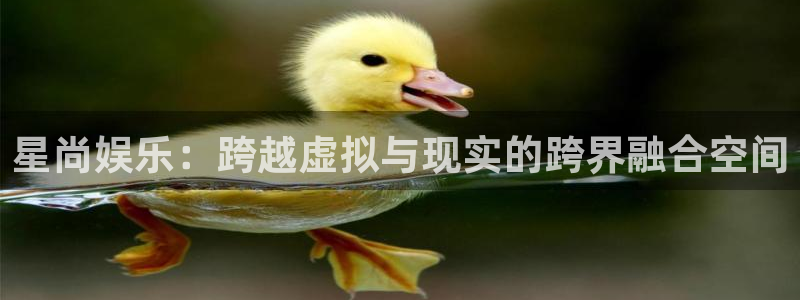星耀国际.ccmpc正版官网版下载：星尚娱乐：跨越虚拟与现实的跨界融合空间