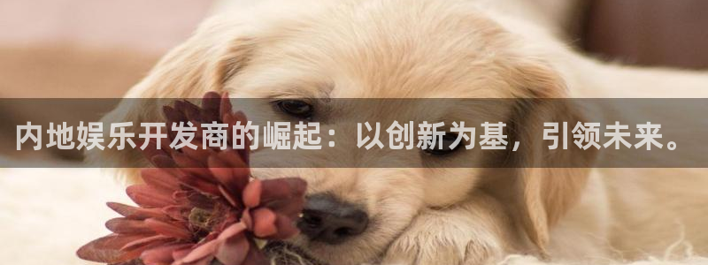 星耀国际quan28.cc：内地娱乐开发商的崛起：以创新为基，引领未来。