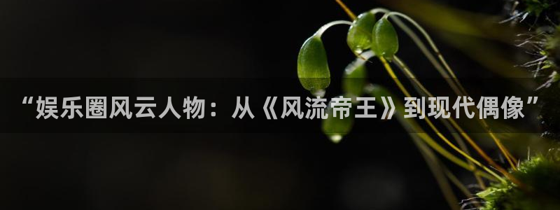 星耀国际.ccm：“娱乐圈风云人物：从《风流帝王》到现代偶像”
