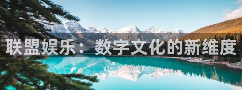 星耀国际是啥：联盟娱乐：数字文化的新维度