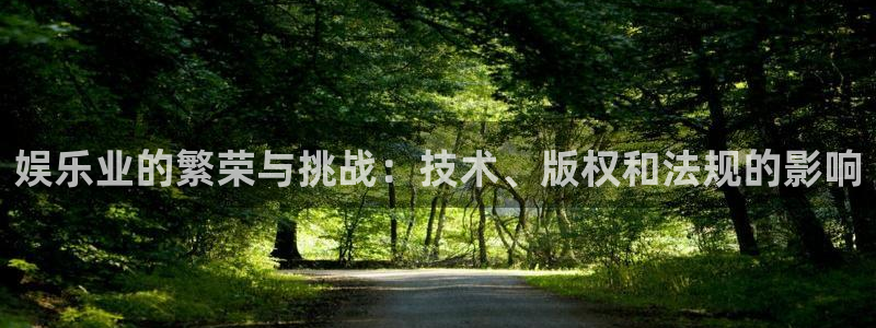 星耀国际赏金女王：娱乐业的繁荣与挑战：技术、版权和法规的影响