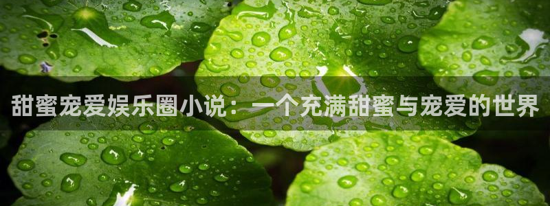 星耀国际加拿大在线预测：甜蜜宠爱娱乐圈小说：一个充满甜蜜与宠爱的世界