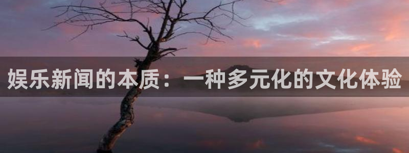 星耀国际下载二维码：娱乐新闻的本质：一种多元化的文化体验