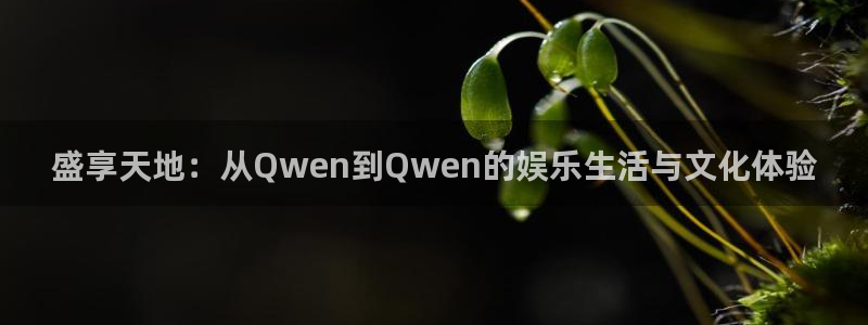 星耀国际app新版上线体验.游戏更新入口.中国：盛享天地：从Qwen到Qwen的娱乐生活与文化体验