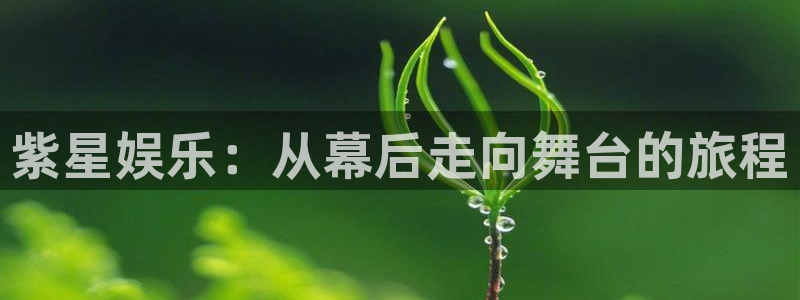 壹号平台下载安装官网：紫星娱乐：从幕后走向舞台的旅程