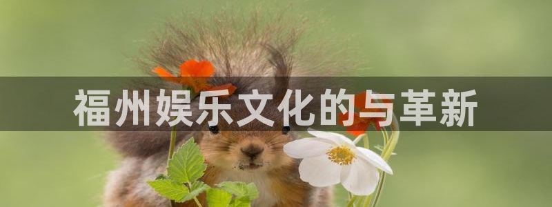 星耀国际游戏试玩：福州娱乐文化的与革新