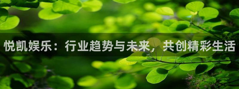 壹号大舞台怎么注册：悦凯娱乐：行业趋势与未来，共创精彩生活