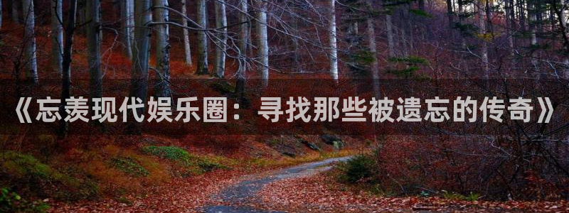 星耀国际是什么平台：《忘羡现代娱乐圈：寻找那些被遗忘的传奇》