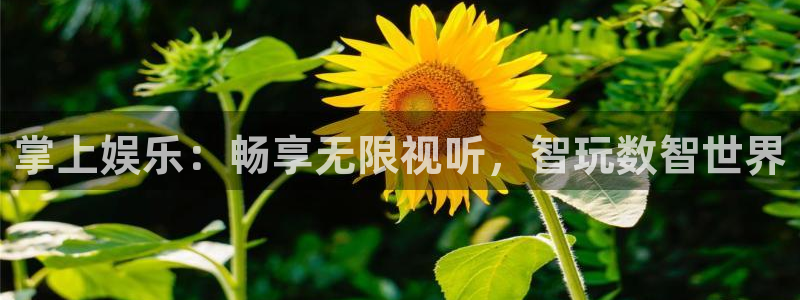 星耀国际赏金女王：掌上娱乐：畅享无限视听，智玩数智世界