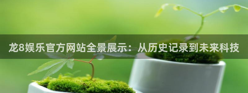 星耀国际注册网站：龙8娱乐官方网站全景展示：从历史记录到未来科技