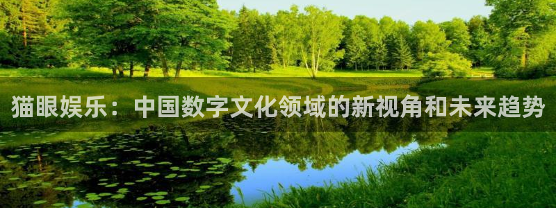 星耀国际退款怎么退：猫眼娱乐：中国数字文化领域的新视角和未来趋势