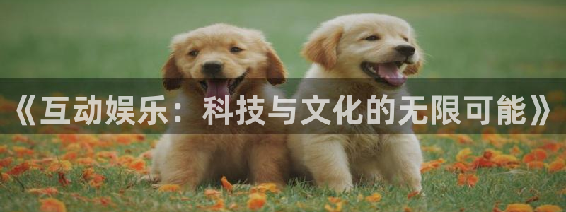 星耀国际有梦你就来：《互动娱乐：科技与文化的无限可能》