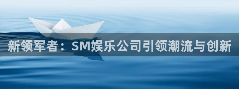 星耀国际科技赋能,让平台更有趣：新领军者：SM娱乐公司引领潮流与创新