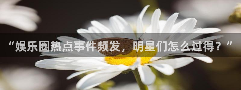 壹号电子娱乐app下载最新版本安装：“娱乐圈热点事件频发，明星们怎么过得？”