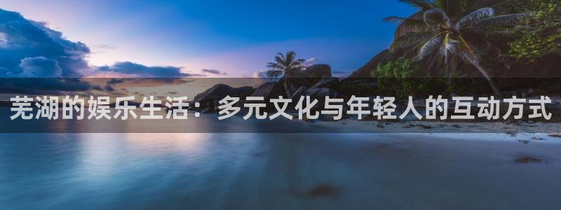 星耀国际com：芜湖的娱乐生活：多元文化与年轻人的互动方式