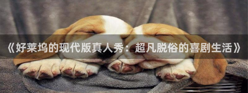 星耀国际app：《好莱坞的现代版真人秀：超凡脱俗的喜剧生活》