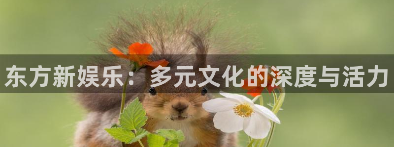 星耀国际,com：东方新娱乐：多元文化的深度与活力
