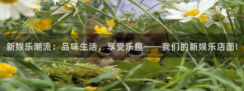星耀国际ccmpc麻将胡了：新娱乐潮流：品味生活，享受乐趣——我们的新娱乐店面!