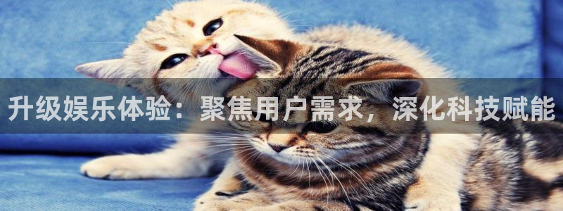 星耀国际是啥：升级娱乐体验：聚焦用户需求，深化科技赋能