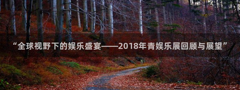 星耀国际平台官网版最新：“全球视野下的娱乐盛宴——2018年青娱乐展回顾与展望”